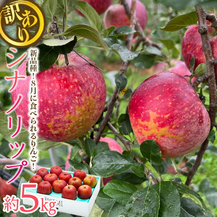 【ふるさと納税】 訳あり りんご シナノリップ 約5kg 2025年 令和7年度発送分 リンゴ 林檎 長野 フルーツ 果物 信州産 長野県産 特産 産地直送 家庭用 おすすめ デザート おやつ 自宅用 　お届け：2025年8月中旬～9月中旬ごろ