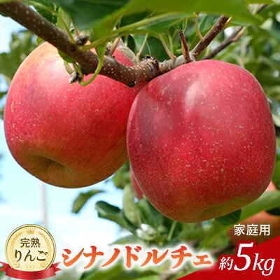 【ふるさと納税】先行予約 りんご シナノドルチェ 約5kg 家庭用 2025年 令和7年発送 完熟りんご・外観は不揃いだけど美味しいよ 果物 果物類 リンゴ 林檎 フルーツ 長野のりんご 信州産 長野県産 信州りんご デザート 食後 　お届け：2025年9月中旬～9月下旬ごろ