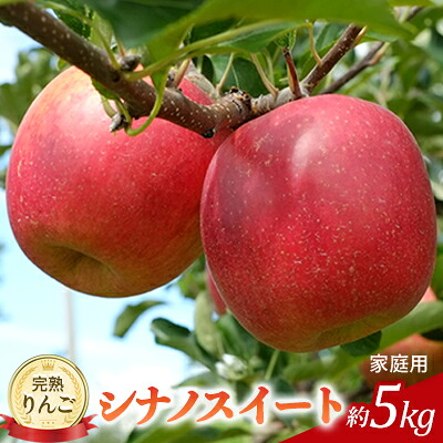 【ふるさと納税】先行予約 りんご シナノスイート 約5kg 2025年 令和7年発送 家庭用 完熟りんご 外観は不揃いだけど美味しいよ 林檎 リンゴ 傷 キズ 果物 くだもの フルーツ 旬の果物 旬のフルーツ 信州 長野 長野県　お届け：2026年10月中旬～10月下旬ごろ 12,780円