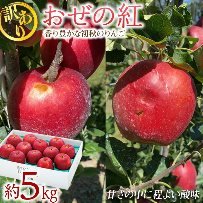 【ふるさと納税】りんご 訳あり  おぜの紅 約5kg  2025年 令和7年度発送分 リンゴ 林檎 長野 フルーツ 果物 果物類 信州産 長野県産 特産 産地直送 おすすめ 旬の果物 旬のフルーツ 初秋のりんご 食後 デザート 食べ物 食品　お届け：2025年9月上旬～下旬ごろ