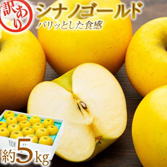 【ふるさと納税】訳あり りんご 5kg  2025年 令和7年度 発送分！ シナノゴールド パリッとした食感 林檎 リンゴ 傷 キズ 果物 くだもの フルーツ 旬の果物 旬のフルーツ 家庭用 訳アリ 信州 長野 長野県 　お届け：2025年11月～12月中旬ごろ