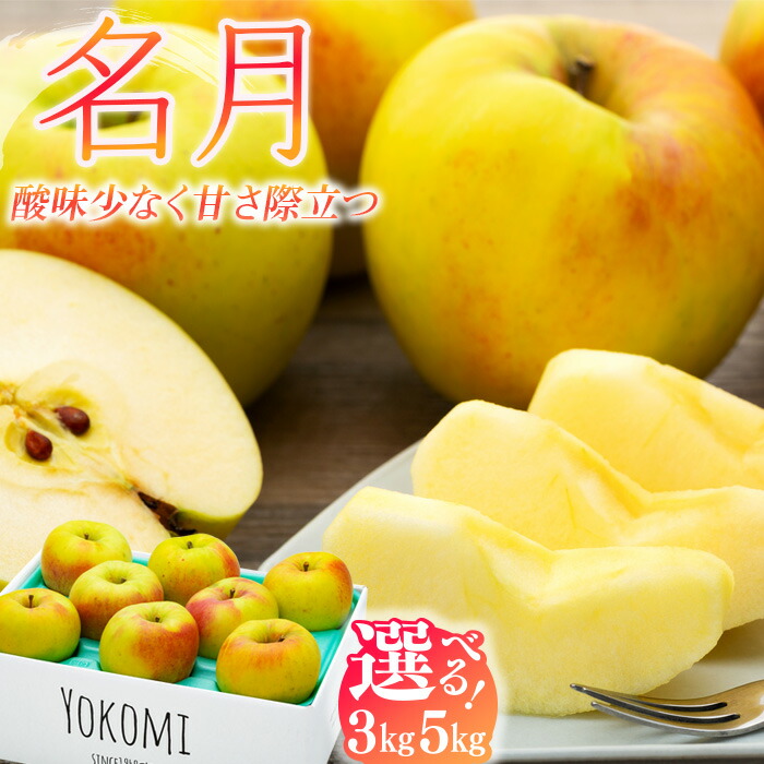 【ふるさと納税】 りんご 名月 3kg 2025年 令和7年発送 酸味が少なく甘さが際立つおいしいりんご 林檎 リンゴ 果物 くだもの フルーツ 旬の果物 旬のフルーツ 信州 長野 長野県　 旬の果物 旬のフルーツ 食後 デザート 食べ物 食品 　お届け：2025年11月上旬～下旬ごろ