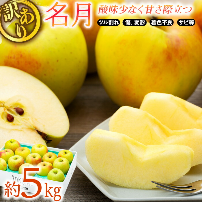 【ふるさと納税】訳あり りんご 5kg  2025年 令和7年度 発送分！ 名月 酸味が少なく甘さが際立つおいしいりんご 林檎 リンゴ 傷 キズ 果物 くだもの フルーツ 旬の果物 旬のフルーツ 家庭用 訳アリ 信州 長野 長野県 　お届け：2025年11月上旬～下旬ごろ