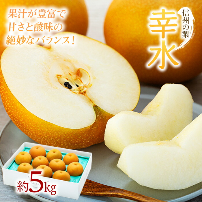 【ふるさと納税】梨 幸水 5kg 2025年秋! 信州の梨 シャリっとしてみずみずしい梨 果物 くだもの フルーツ 旬の果物 旬のフルーツ 信州 長野 長野県 　お届け：2025年8月下旬～9月中旬ごろ