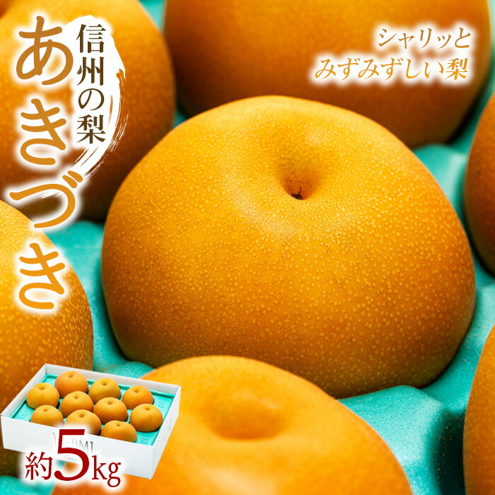 【ふるさと納税】【2025年/令和7年発送分 】梨 長野 あきづき 約5kg 信州の梨 シャリッとみずみずしい梨です フルーツ 果物 デザート なし ナシ あきづき アキヅキ 産地直送 長野県 信州産 　お届け：2025年9月中旬～10月中旬ごろ