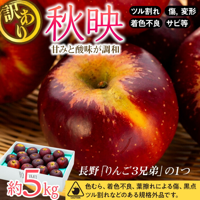 【ふるさと納税】【2025年/令和7年度発送分 】訳あり 信州のりんご 秋映 約 5kg りんご リンゴ 林檎 長野 フルーツ 果物 信州産 長野県産 特産 産地直送 おすすめ 　お届け：2025年10月上旬～10月中旬ごろ