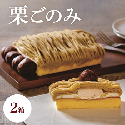 【ふるさと納税】栗ごのみ2箱セット_長野県 飯島町 スイーツ モンブランケーキ おやつ デザート【配送不可地域：離島】【1606720】
