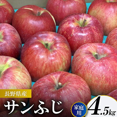 【ふるさと納税】サンふじ 家庭用 4.5kg(赤秀13～14度の糖度保障)【1615476】