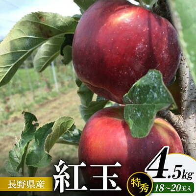 【ふるさと納税】紅玉 4.5kg(特秀18～20玉)【1615515】