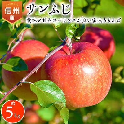 【ふるさと納税】2025年!信州のりんご【サンふじ】約5kg【1041421】