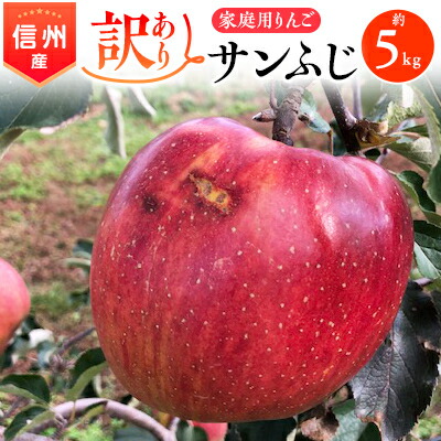 【ふるさと納税】2025年!信州のりんご【サンふじ】訳あり　約5kg　家庭用【1136049】