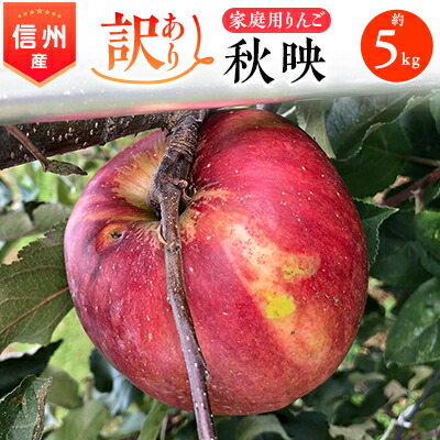 【ふるさと納税】2025年!信州のりんご【秋映】訳あり　約5kg　家庭用_ りんご リンゴ 秋映 訳あり あきばえ 林檎 約5kg 長野 長野県 信州 果物 くだもの フルーツ デザート おやつ 果実 青果 傷 規格外 わけあり 国産 産直 産地直送 家庭用 自宅用 送料無料 【1230077】
