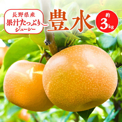 【ふるさと納税】2025年秋!信州の梨【豊水】約3kg　果汁たっぷりジューシーな梨!_ 梨 なし 果物 くだもの フルーツ 豊水 信州 旬 秋の味覚 人気 おすすめ 送料無料 産地直送 贈答 ギフト ジューシー 長野 冷蔵 【配送不可地域：離島】【1475206】