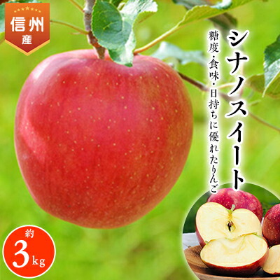 【ふるさと納税】2025年!信州のりんご【シナノスイート】約3kg_ りんご シナノスイート 林檎 リンゴ 長野県 信州産 しなのスイート シナノ スイート 果物 くだもの フルーツ デザート おやつ 約3kg 甘い 国産 産直 産地直送 贈答 ギフト プレゼント 送料無料 【1230234】