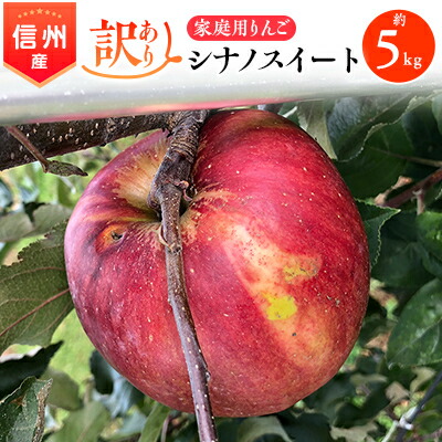 【ふるさと納税】2025年!信州のりんご【シナノスイート】訳あり　約5kg　家庭用_ りんご リンゴ シナノスイート 訳あり 林檎 長野県 信州 しなのスイート シナノ 果物 くだもの フルーツ デザート 傷 規格外 わけあり 国産 産直 産地直送 家庭用 自宅用 送料無料 【1230235】
