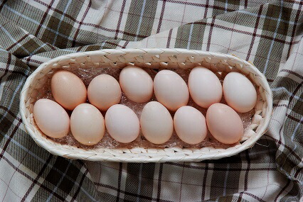 長野県地鶏黄金シャモセット(予約制)