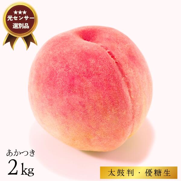 【ふるさと納税】<br>桃 あかつき 約2キロ／7月下旬～8月上旬ごろ配送 //長野県 南信州 贈答 ギフト 糖度センサー 光センサー 糖度選別 厳選 もも ２キロ JA01