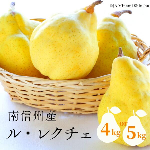 【ふるさと納税】<br>南信州産 洋梨 ル・レクチェ 約4キロ or 約5キロ／11月上旬～12月上旬ごろ配送予定// 長野県 南信州 高糖度 洋梨 ルレクチェ レクチェ 洋ナシ 大玉 西洋梨 贈答 ギフト JA19 JA18