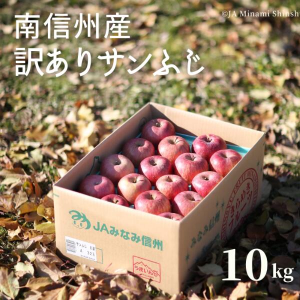 【ふるさと納税】<br>南信州産 訳ありサンふじ 約10kg／11月下旬～12月中旬ごろ発送   長野県産 訳あり 家庭用 りんご サンフジ さんふじ