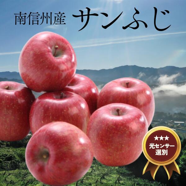 【ふるさと納税】<br>りんご サンふじ 約5kg／11月下旬～12月中旬ごろ配送 //長野県 南信州 贈答 ギフト お歳暮 ふじ フジ さんふじ 新鮮 林檎 リンゴ サンふじ サンフジ JA15