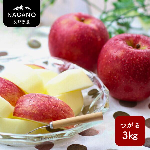 【ふるさと納税】<br>りんご つがる（長野県産秀品）3kg／9月上旬～9月中旬頃配送予定 // 長野県 南信州  サンつがる りんご 果物 フルーツ MS04