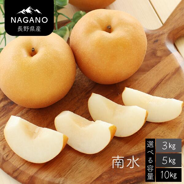 【ふるさと納税】<br>梨 南水（長野県産秀品）約3kg・約5kg・約10kg ／9月中旬～10月中旬頃配送予定// 長野県 南信州 ギフト 贈答 和梨 なし ナシ お取り寄せ 果物 フルーツ 甘い 3kg 5kg 10kg MS06 MS07 MS08