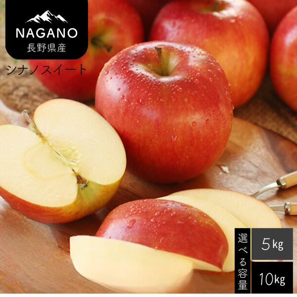 【ふるさと納税】<br>りんご シナノスイート（長野県産秀品）約5kg・約10kg／10月中旬～11月中旬頃 配送予定 // 長野県 南信州  シナノ スイート りんご 果物 フルーツ MS09 MS10
