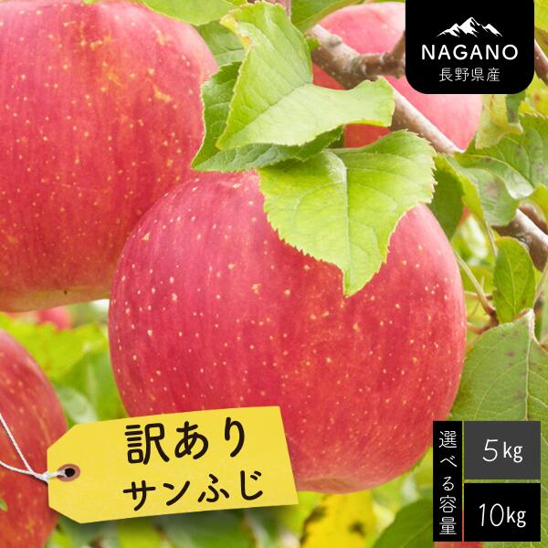 【ふるさと納税】<br>りんご 訳ありサンふじ 約5キロ or 10キロ／2026年1月上旬～2月上旬頃配送予定 // 長野県 南信州  サンふじ りんご 果物 フルーツ フードロス MS17 MS18