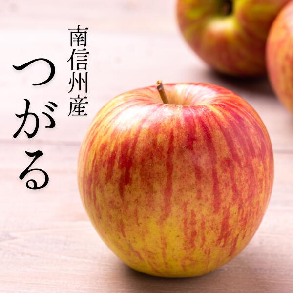 【ふるさと納税】 りんご つがる 贈答 約3kg／8月下旬頃から発送予定 南信州 長野県 ギフト 早生りんご