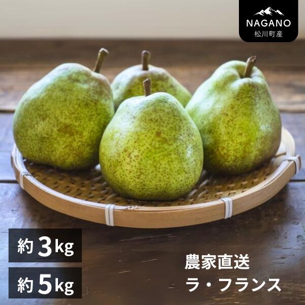 【ふるさと納税】<br>洋梨 ラ・フランス 約3kg or 約5kg 贈答 ／10月中旬頃から発送予定　長野県 南信州 ラフランス ギフト