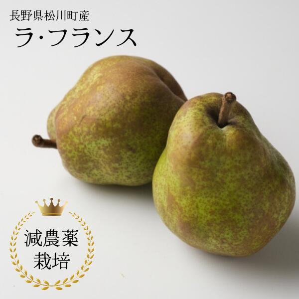 【ふるさと納税】<br>洋梨 ラ・フランス 約3キロ 減農薬栽培 秀品／10月中旬頃から配送予定 YN10