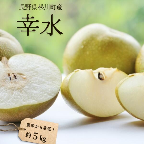 【ふるさと納税】<br> 梨 幸水 約5kg（9～14玉）松川町産 贈答／8月下旬頃～配送予定 //南信州産 長野県 和梨 なし ナシ ５キロ  幸水 農家直送 農家支援 KW08