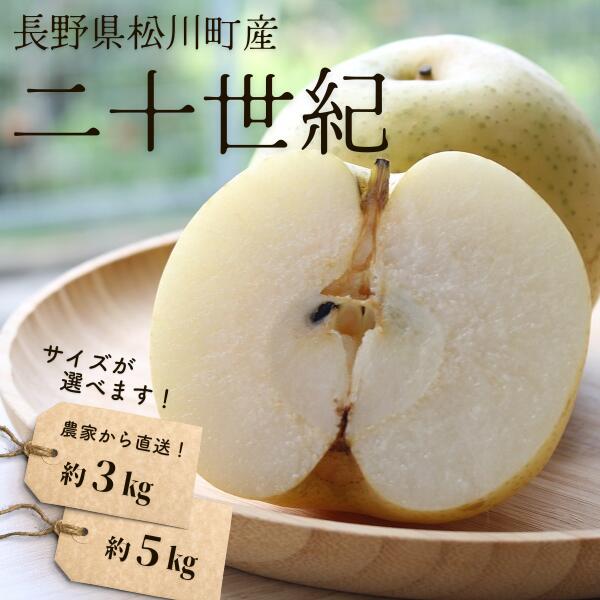 【ふるさと納税】<br>梨 二十世紀 約3kg or 約5kg ／2025年9月中旬頃配送～ 長野県 松川町産 贈答 和梨 ２０世紀梨 20世紀梨 3kg 5kg KW02 KW04