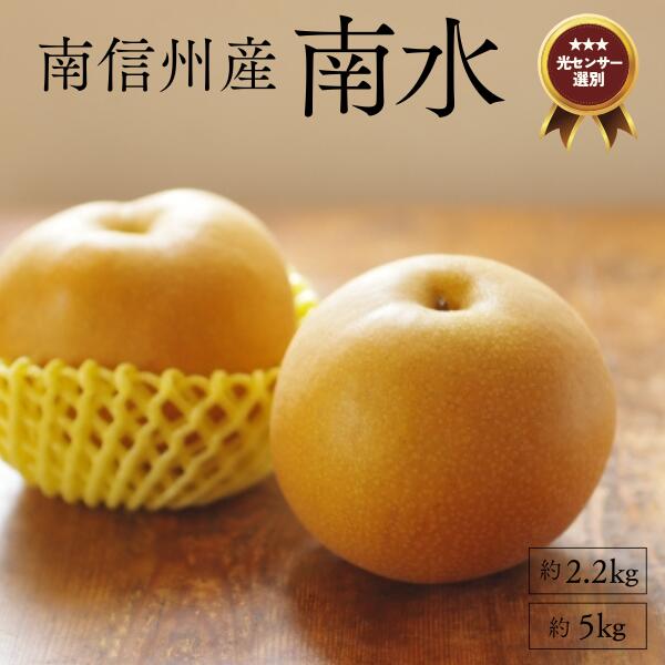 【ふるさと納税】<br>梨 南水 約2kg or 約5kg／9月中旬頃～配送予定 糖度センサー選別 // 和梨  糖度センサー選別 厳選 南信州 長野県 和梨 なし ナシ 新鮮 厳選 贈答 贈答用 甘い 2キロ 5キロ JA09 JA29