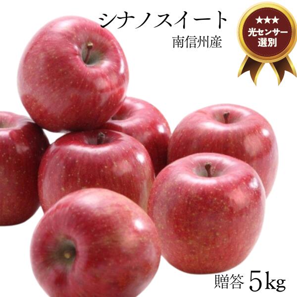 【ふるさと納税】<br>りんご シナノスイート 約5キロ ／9月下旬～10月上旬ごろ配送配送 長野県 オリジナル品種 南信州 甘い 新鮮 厳選 贈答 JA13
