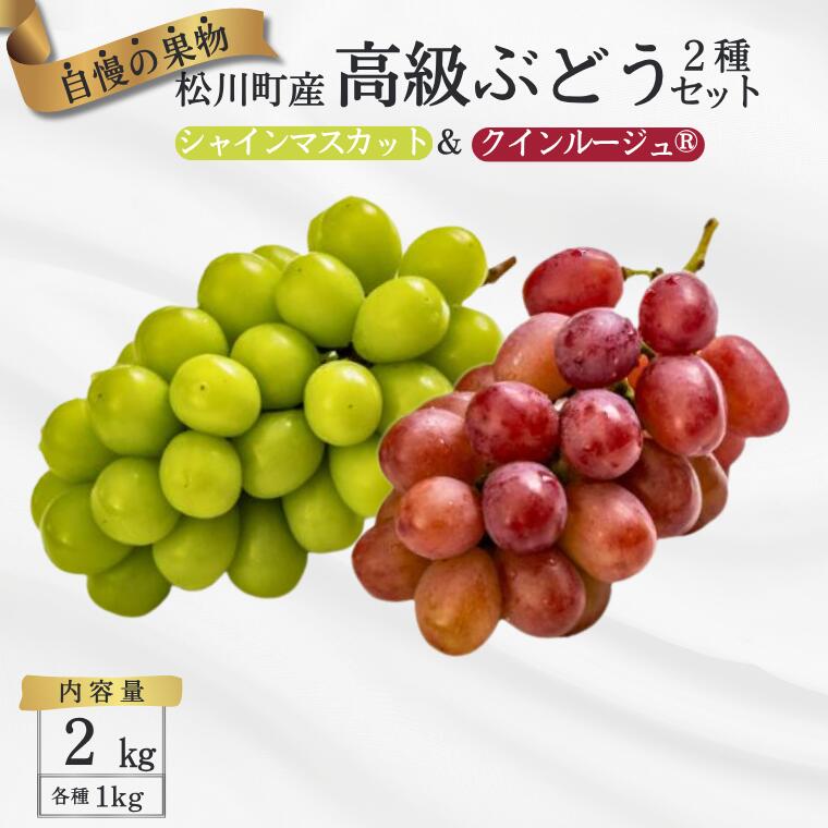 【ふるさと納税】 ＊2026年度発送＊ぶどう2種セット（シャインマスカット／クイーンルージュ・・）約2kg／2026年9月下旬～10月頃発送 長野県松川町産　贈答　ギフト　稀少 19,710円
