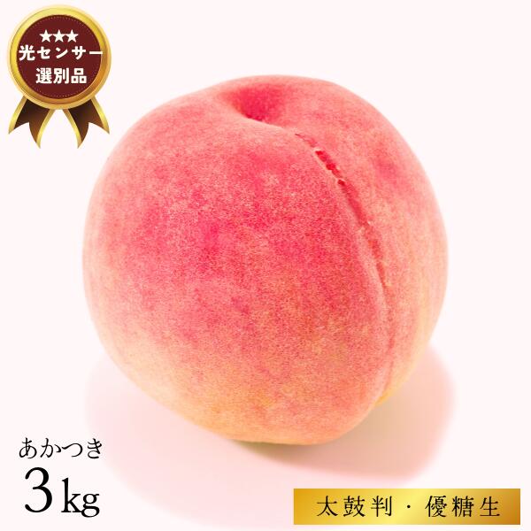 【ふるさと納税】<br>南信州産 桃 あかつき 約3キロ ／7月下旬～8月上旬ごろ配送 　長野県 南信州 贈答 ギフト 糖度センサー 光センサー 糖度選別 厳選 もも ３キロ JA02