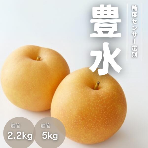 【ふるさと納税】<br>梨 豊水  約2.2kg or 約5kg／9月上旬～9月下旬ごろ配送// 糖度センサー選別 厳選 南信州 長野県 和梨 なし ナシ 新鮮 厳選 贈答 2kg JA31