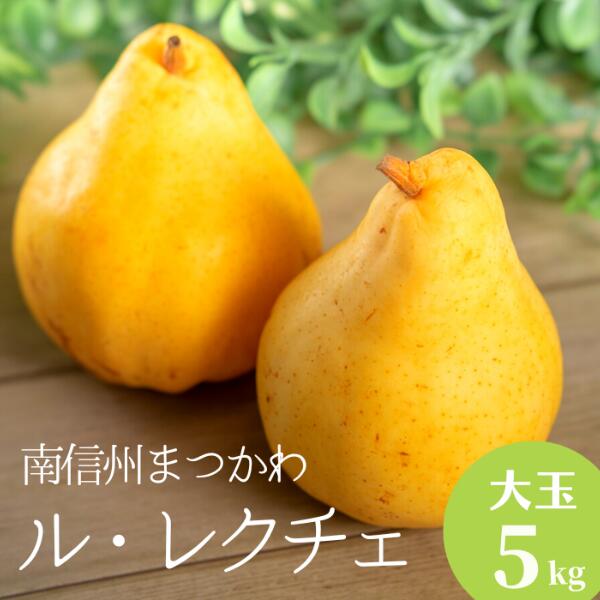 【ふるさと納税】<br>稀少な洋梨 ル・レクチェ（大玉）約2キロ or 約5キロ／2025年11月中旬頃発送　長野県　松川町産　贈答　KL03　KL04