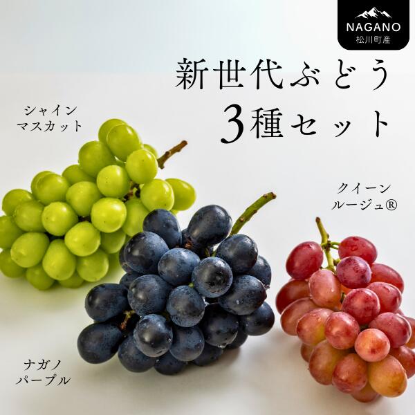 【ふるさと納税】<br>高級ぶどう3種セット クイーンルージュ ナガノパープル シャインマスカット ／2025年9月中旬頃発送 長野県松川町産　贈答　ギフト　稀少　高級ぶどう TK01 TK05