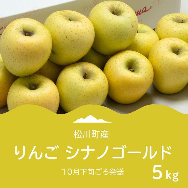 【ふるさと納税】 りんご シナノゴールド（松川町産）秀品 約5kg／2026年11月上旬～11月下旬頃 配送予定//長野県 南信州 松川町 りんご リンゴ 林檎 シナノゴールド 贈答 黄色りんご AS08