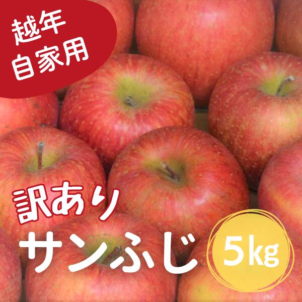 【ふるさと納税】 りんご サンふじ 越年自家用（松川町産）約5kg／2027年1月中旬～2月上旬頃 配送予定 // 長野県 南信州 さんふじ サンフジ ふじりんご 訳あり 訳アリ 家庭用 自家用 年明け配送 AS12