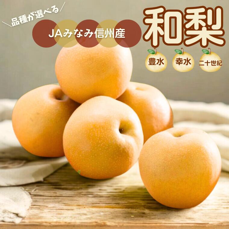 【楽天市場】【ふるさと納税】『くだものの里 始まりの梨』 豊水・幸水・二十世紀 選べる品種// ふるさと納税 なし ナシ 長野 和梨 フルーツ ...