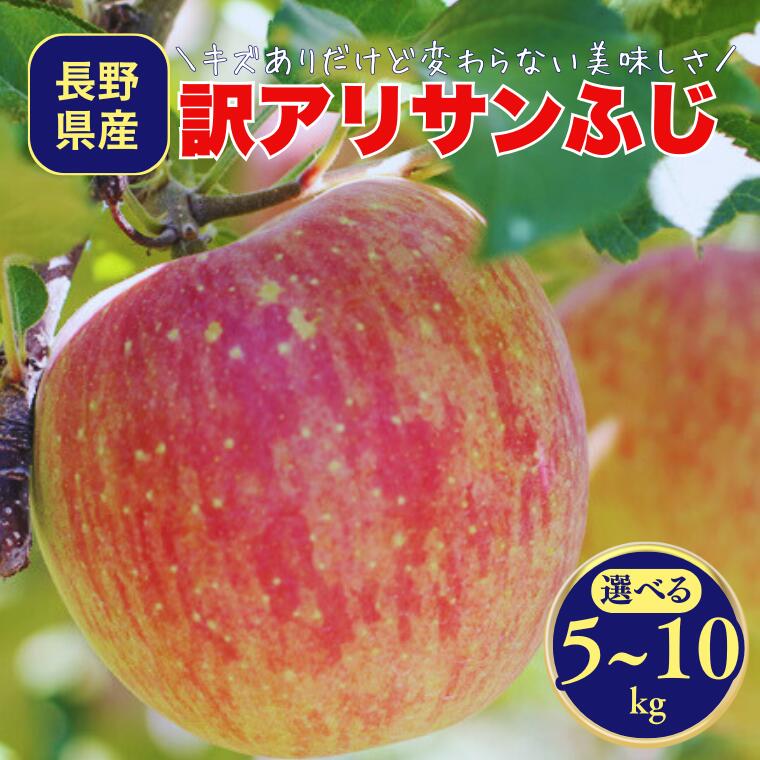 【ふるさと納税】＊2027年度発送＊りんご 訳ありサンふじ 約5kg or 10kg／2027年1月上旬～2月上旬頃配送予定 // 長野県 南信州 サンふじ りんご 果物 フルーツ フードロス MS17 MS18｜長野県松川町 9,940円