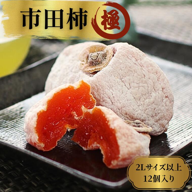 【ふるさと納税】市田柿「極(きわみ)」2Lサイズ以上12粒入り/2027年1月上旬~2月下旬頃配送 // 長野県 南信州 個包装 大粒 干し柿 柿 高級 化粧箱入り 贈答 ギフト お取り寄せ MS20|長野県松川町
