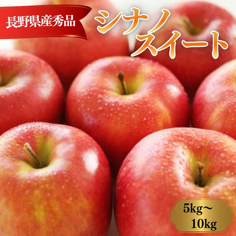 【ふるさと納税】りんご シナノスイート（長野県産秀品）約5kg・約10kg／10月中旬～11月中旬頃 配送予定 // 長野県 南信州 シナノ スイート りんご 果物 フルーツ MS09 MS10｜長野県松川町
