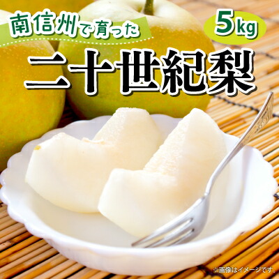 【ふるさと納税】9月中旬より順次発送予定！【長野県高森町】青梨の銘品!! 二十世紀梨 5kg【配送不可地域：離島】