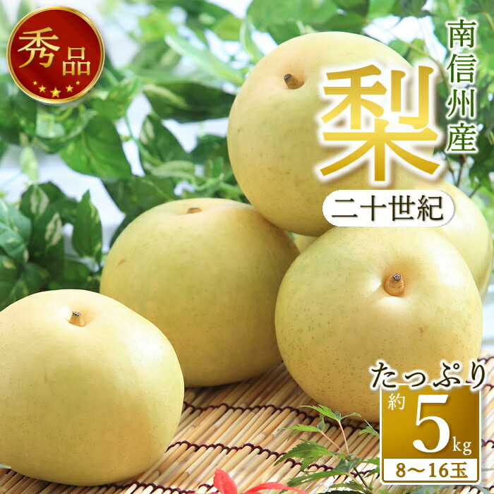 【ふるさと納税】【南信州産】梨「二十世紀」秀品約5kg（8玉～16玉）＜2025年9月上旬より発送＞【配送不可地域：離島】