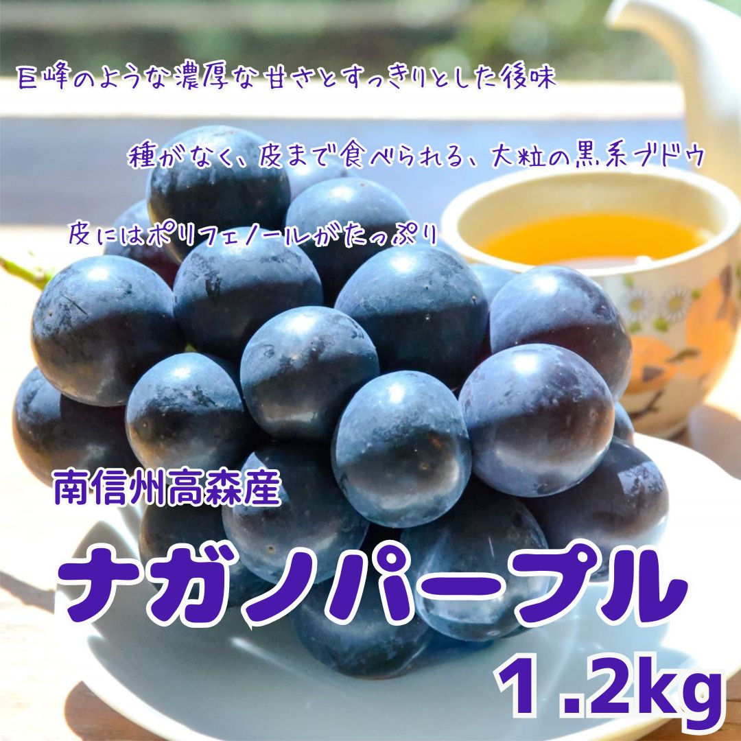 【ふるさと納税】【南信州高森産】ナガノパープル 約1.2kg＜8月中旬より発送＞【配送不可地域：離島】