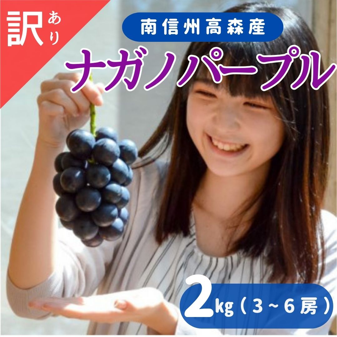 【ふるさと納税】ナガノパープル 訳あり２kg（３～６房）＜8月下旬より発送＞【配送不可地域：離島】